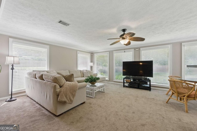 4205 Jeri Lynn Ct, Tucker, GA 30084 - carpeted living room featuring ceiling fan and a textured ceiling