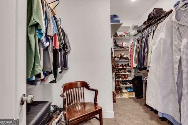 3108 Huntington Pl, Milton, GA 30004 - walk in closet featuring carpet floors