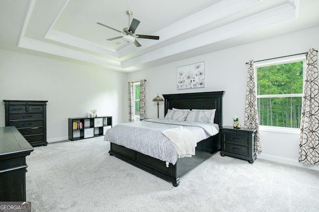 282 Brant Cir, Jefferson, GA 30549 - bedroom with a raised ceiling, carpet floors, multiple windows, and baseboards
