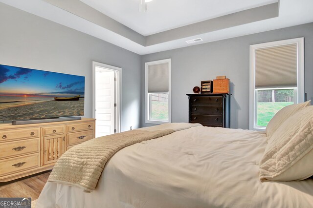 234 Thyme Leaf Way, Locust Grove, GA 30248 - bedroom featuring light wood-style flooring and a tray ceiling