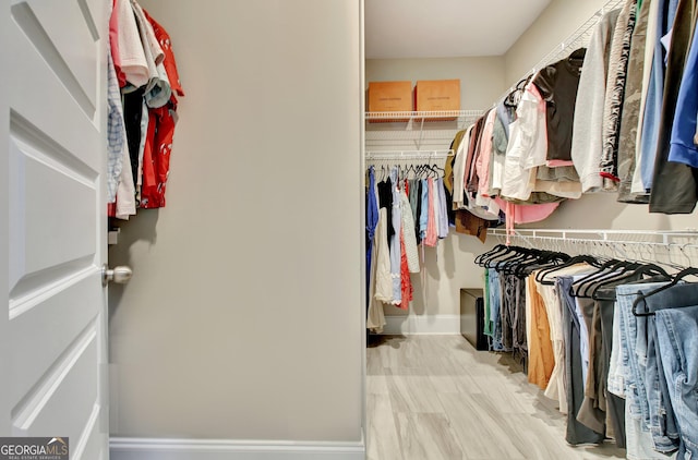 234 Thyme Leaf Way, Locust Grove, GA 30248 - view of spacious closet
