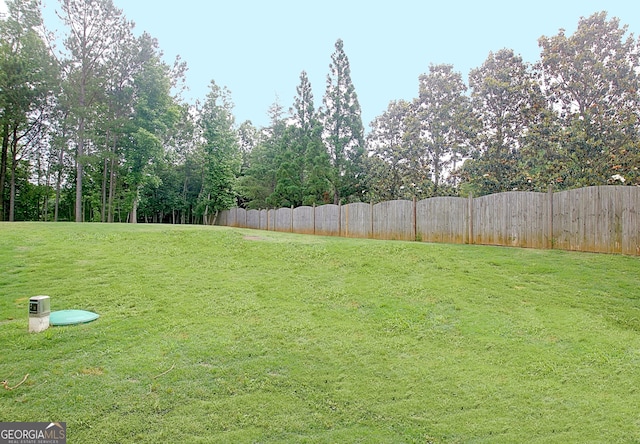 234 Thyme Leaf Way, Locust Grove, GA 30248 - view of yard