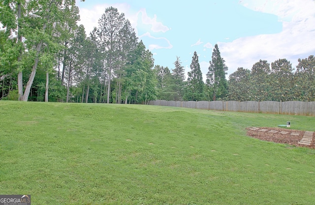 234 Thyme Leaf Way, Locust Grove, GA 30248 - view of yard