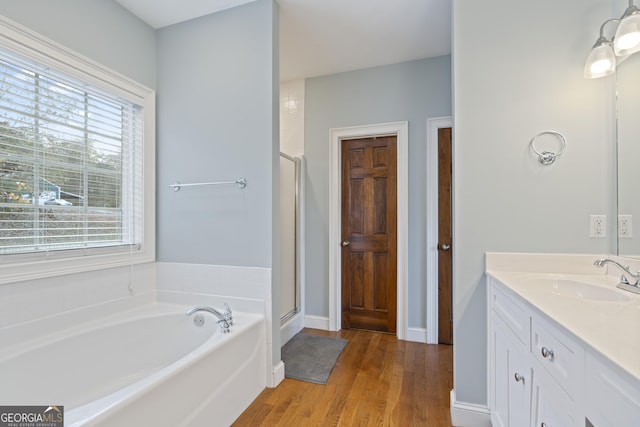 572 Austin Rd, Newnan, GA 30263 - bathroom with vanity, healthy amount of natural light, a garden tub, and wood finished floors
