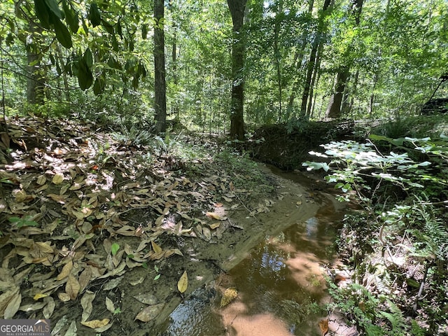 572 Austin Rd, Newnan, GA 30263 - view of undeveloped land