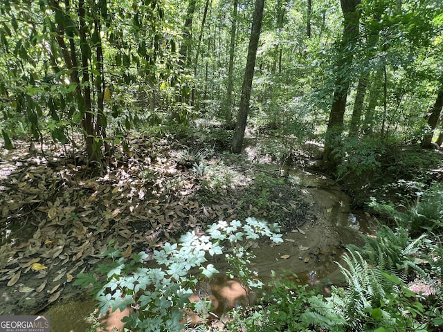 572 Austin Rd, Newnan, GA 30263 - view of local wilderness