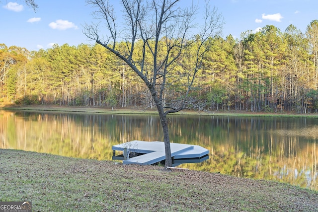 572 Austin Rd, Newnan, GA 30263 - water view featuring a heavily wooded area