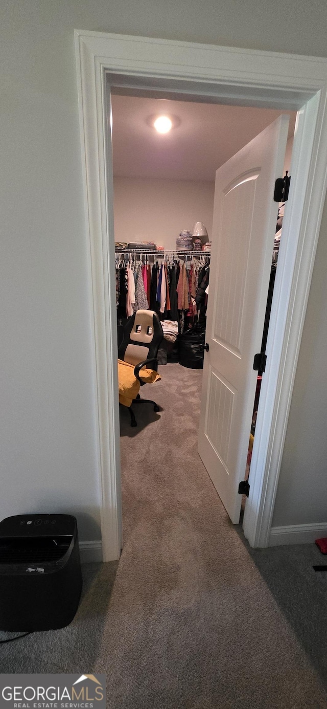 120 Chalk Farm Way, Bloomingdale, GA 31302 - walk in closet with carpet floors