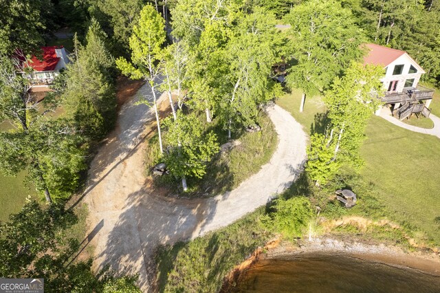236 Overland Trl, Sparta, GA 31087 - view from above of property