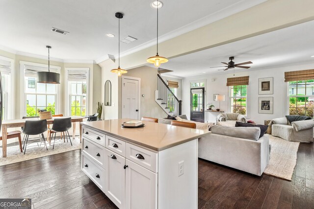 90 Middle St, Senoia, GA 30276 - kitchen featuring dark wood-style floors, white cabinets, hanging light fixtures, crown molding, and open floor plan