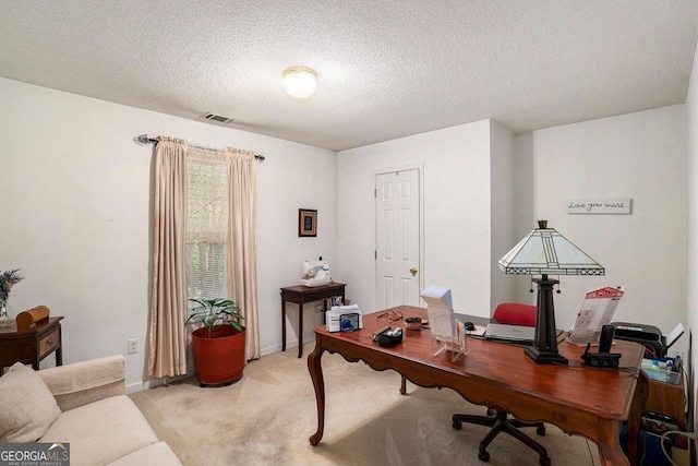 4378 Chestnut Oaks Trce, Lithonia, GA 30038 - home office with light colored carpet, a textured ceiling, and baseboards