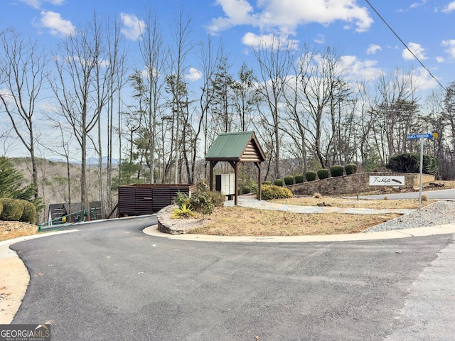 435 Ranch Mountan Dr, Dahlonega, GA 30533 - view of asphalt road