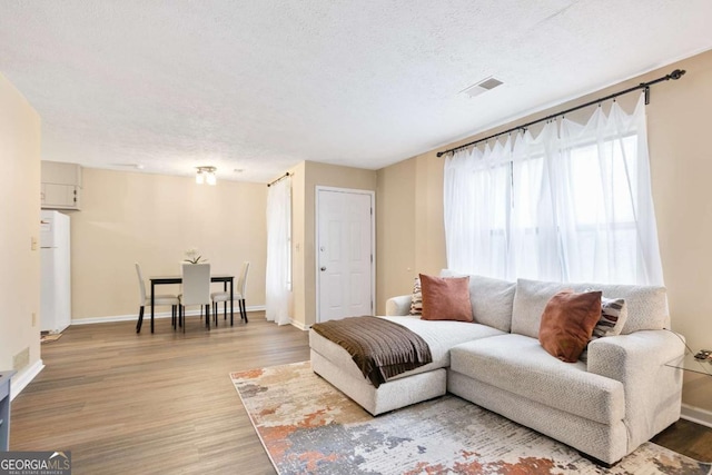 189 Timber Creek Ln, Marietta, GA 30060 - living room featuring light wood finished floors, a textured ceiling, and baseboards
