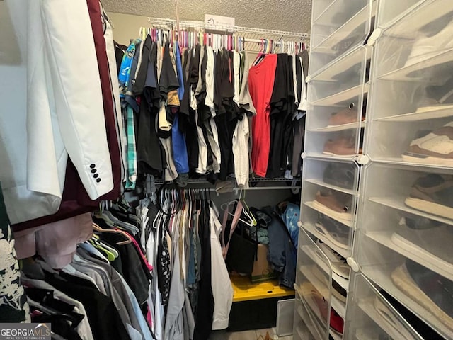 43 Fabian Ln, Hinesville, GA 31313 - view of spacious closet