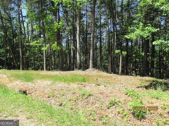 LT30-31 Eagle Ridge Rd, Dawsonville, GA 30534