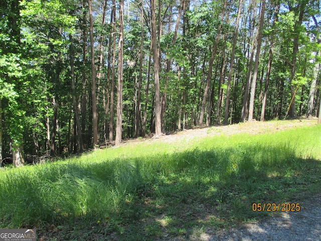 LT30-31 Eagle Ridge Rd, Dawsonville, GA 30534
