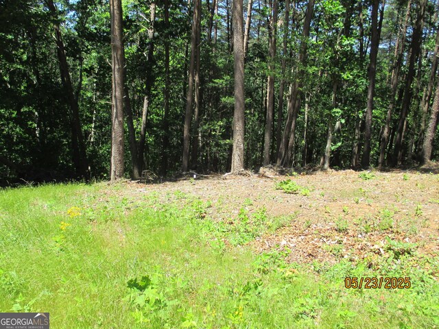LT30-31 Eagle Ridge Rd, Dawsonville, GA 30534