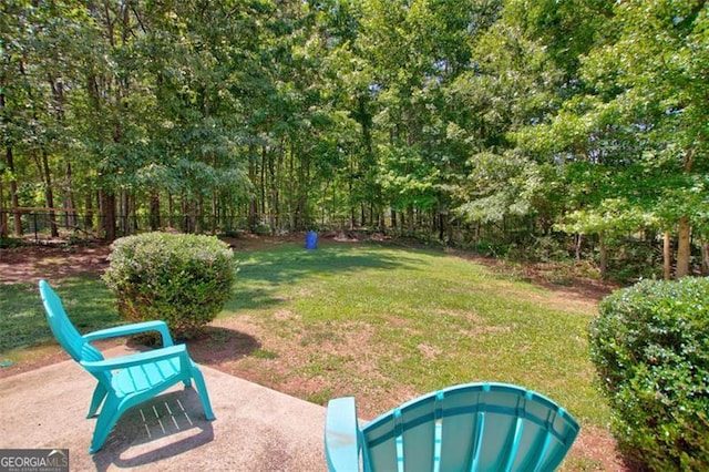 333 Ivy Hills Cir, Mount Airy, GA 30563 - view of yard