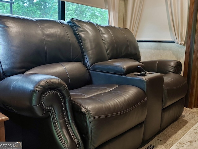 16 Dutchman Way, Cleveland, GA 30528 - view of home theater