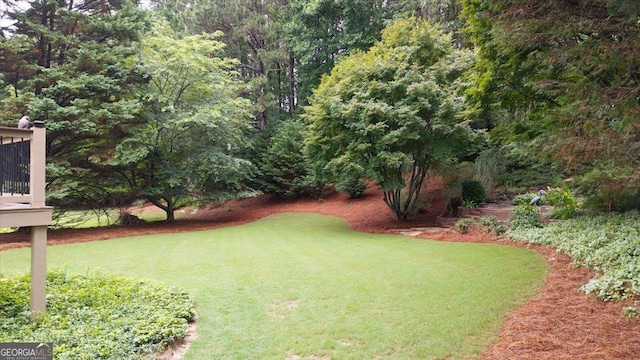 161 Highgrove Dr, Suwanee, GA 30024 - view of green lawn