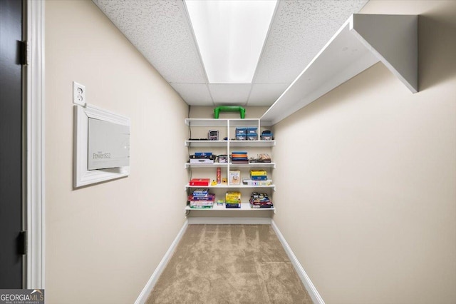 161 Highgrove Dr, Suwanee, GA 30024 - view of storage area