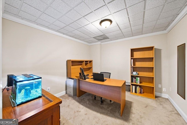161 Highgrove Dr, Suwanee, GA 30024 - home office featuring crown molding, light carpet, and baseboards