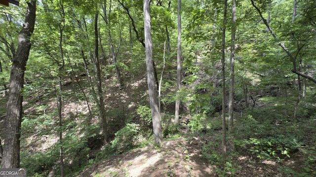 87 Garden Ln, Cleveland, GA 30528 - view of woods