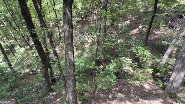 87 Garden Ln, Cleveland, GA 30528 - view of woods