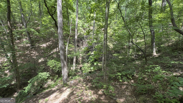 87 Garden Ln, Cleveland, GA 30528 - view of woods