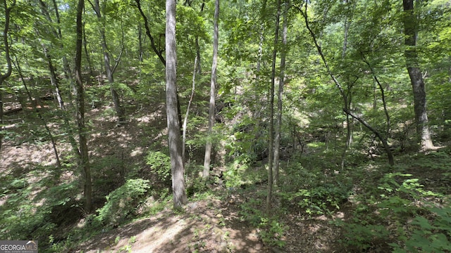 87 Garden Ln, Cleveland, GA 30528 - view of wooded area