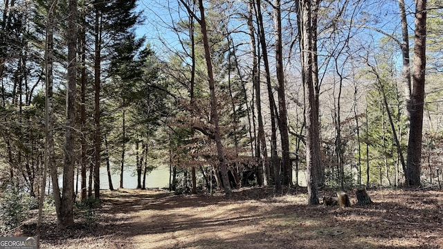 215 Audubon Ln, Clarkesville, GA 30523 - view of yard with a view of trees