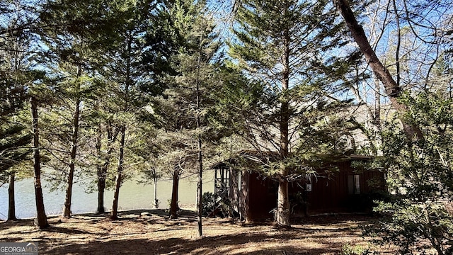 215 Audubon Ln, Clarkesville, GA 30523 - view of yard