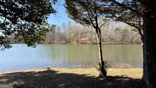215 Audubon Ln, Clarkesville, GA 30523 - water view featuring a heavily wooded area