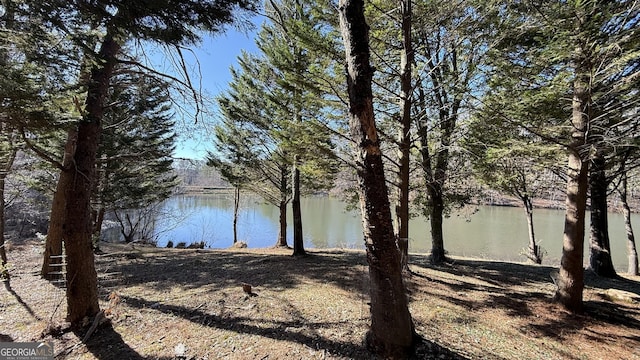 215 Audubon Ln, Clarkesville, GA 30523 - water view