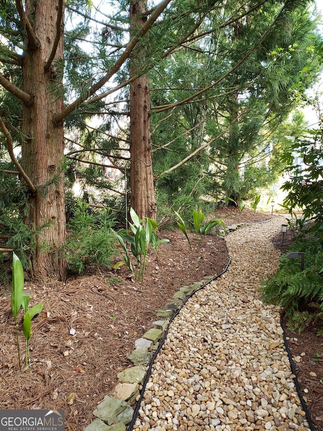 515 Edgewood Dr, Athens, GA 30606 - view of yard