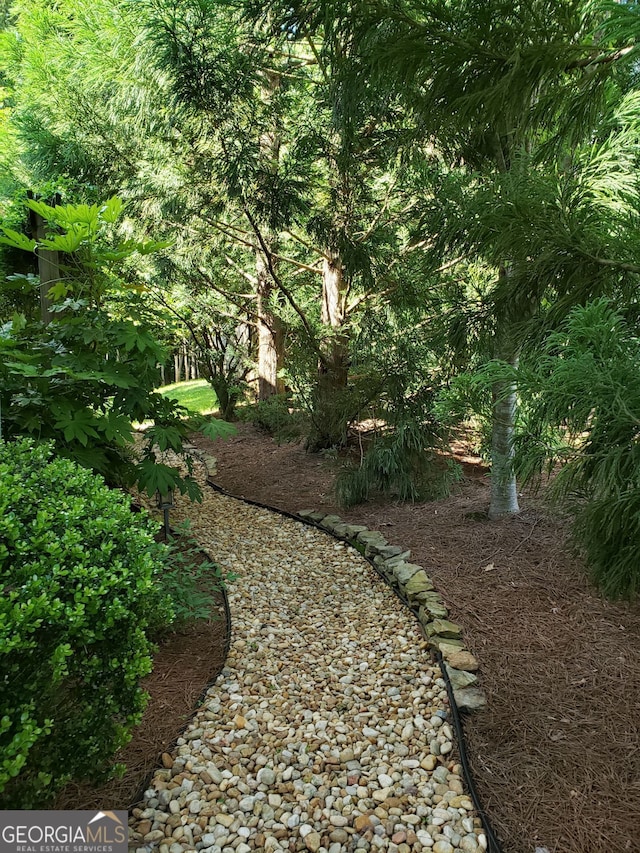 515 Edgewood Dr, Athens, GA 30606 - view of yard
