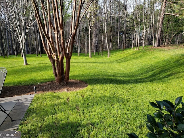 515 Edgewood Dr, Athens, GA 30606 - view of grassy yard