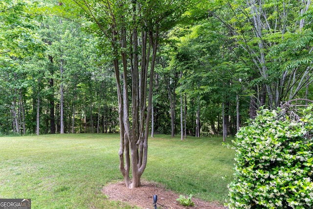 515 Edgewood Dr, Athens, GA 30606 - view of green lawn