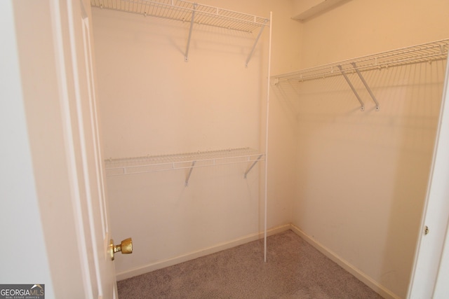 7976 Big Creek Pl, Columbus, GA 31904 - walk in closet with carpet