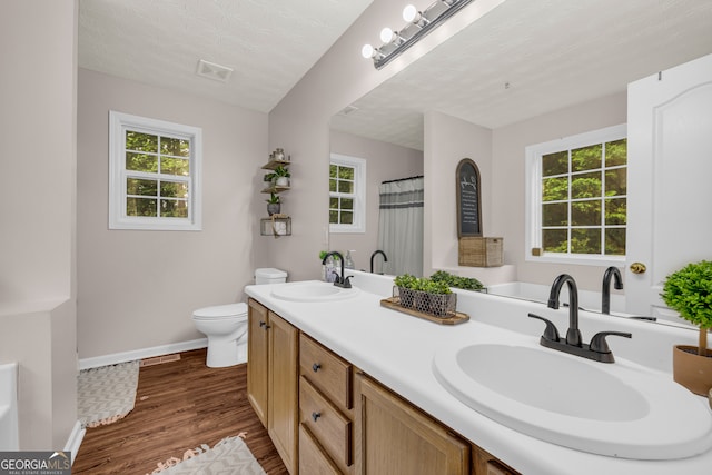 131 Glenn Fuller Cir, Commerce, GA 30529 - bathroom with wood finished floors, toilet, baseboards, double vanity, and healthy amount of natural light