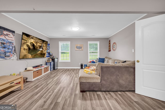 131 Glenn Fuller Cir, Commerce, GA 30529 - living area with crown molding, wood finished floors, and baseboards