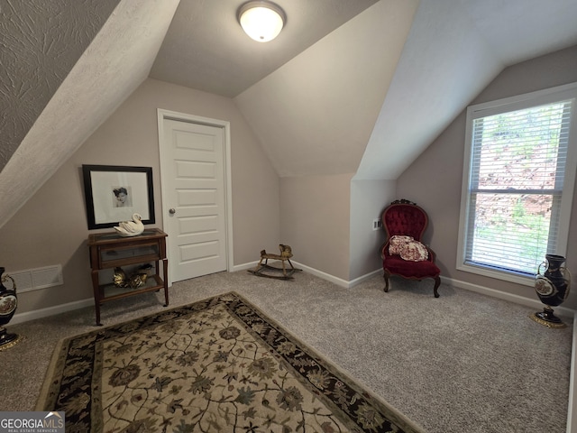 1356 Woodbrier, Sautee Nacoochee, GA 30571 - additional living space with carpet floors, vaulted ceiling, baseboards, and a textured ceiling