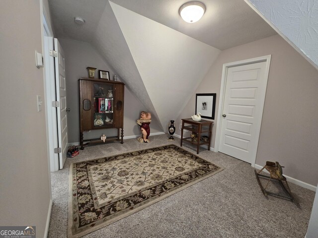 1356 Woodbrier, Sautee Nacoochee, GA 30571 - bonus room with carpet, vaulted ceiling, and baseboards