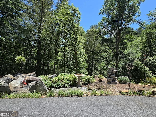 1356 Woodbrier, Sautee Nacoochee, GA 30571 - view of local wilderness