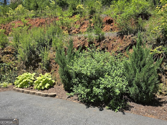 1356 Woodbrier, Sautee Nacoochee, GA 30571 - view of nature