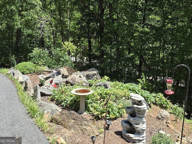1356 Woodbrier, Sautee Nacoochee, GA 30571 - view of yard
