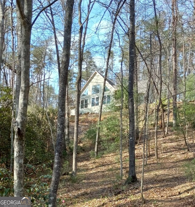1356 Woodbrier, Sautee Nacoochee, GA 30571 - exterior space