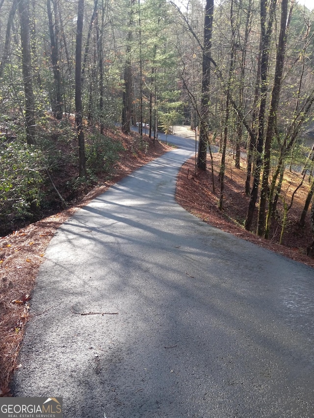 1356 Woodbrier, Sautee Nacoochee, GA 30571 - view of road featuring a forest view