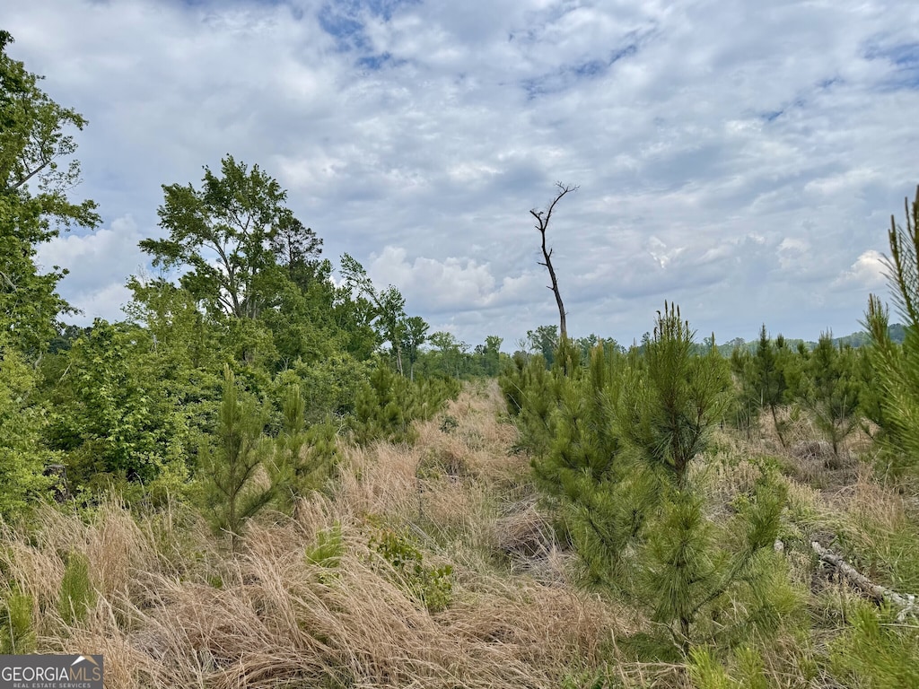 0 Rl Lee Rd Unit 6, Statesboro, GA 30461