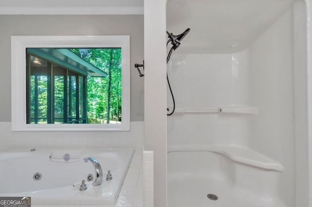 112 White Oak Cir, Dublin, GA 31021 - bathroom with a tub with jets, a shower, and ornamental molding